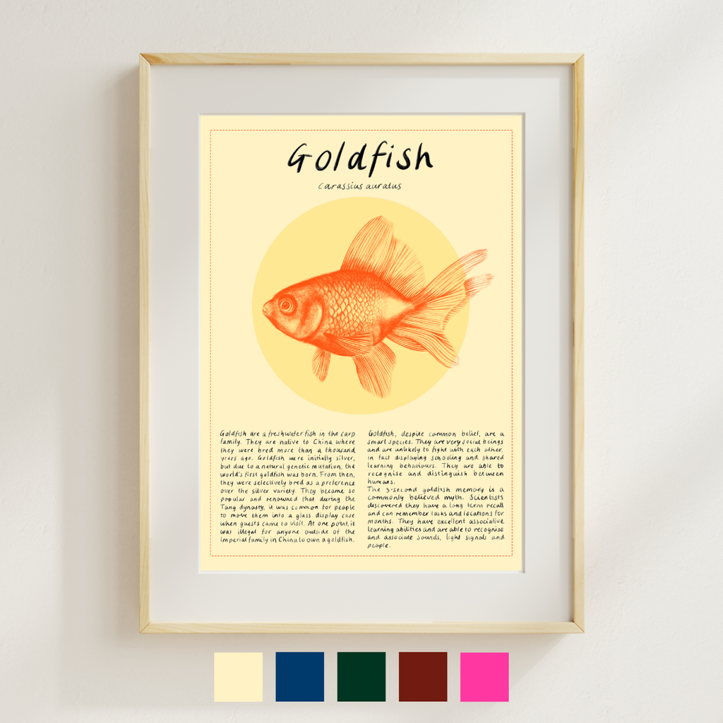 Goldfish Print
