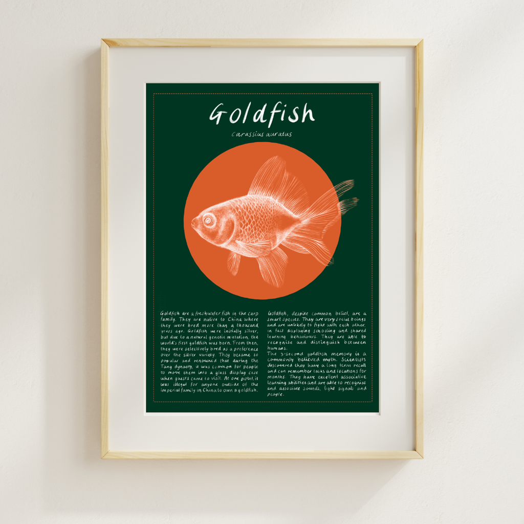 Goldfish Print
