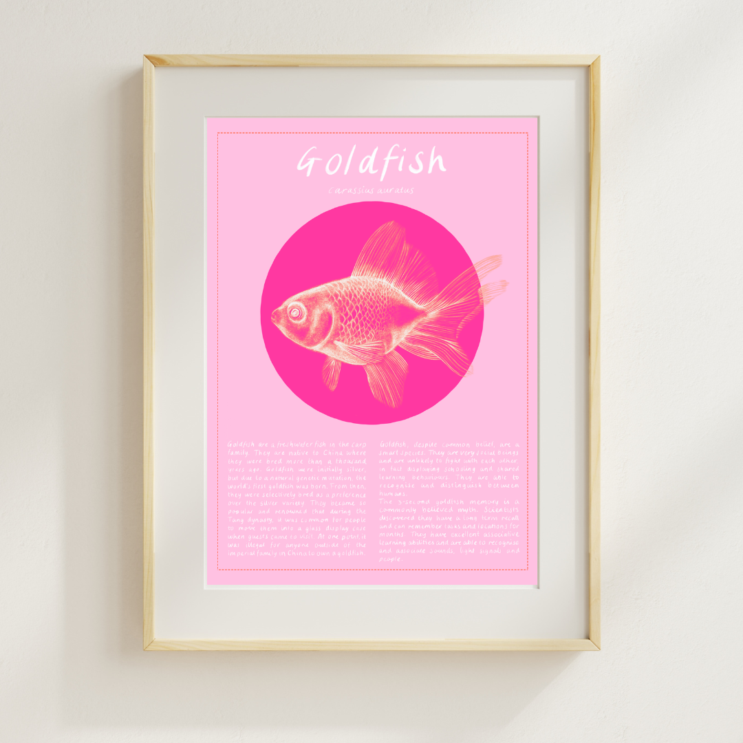 Goldfish Print