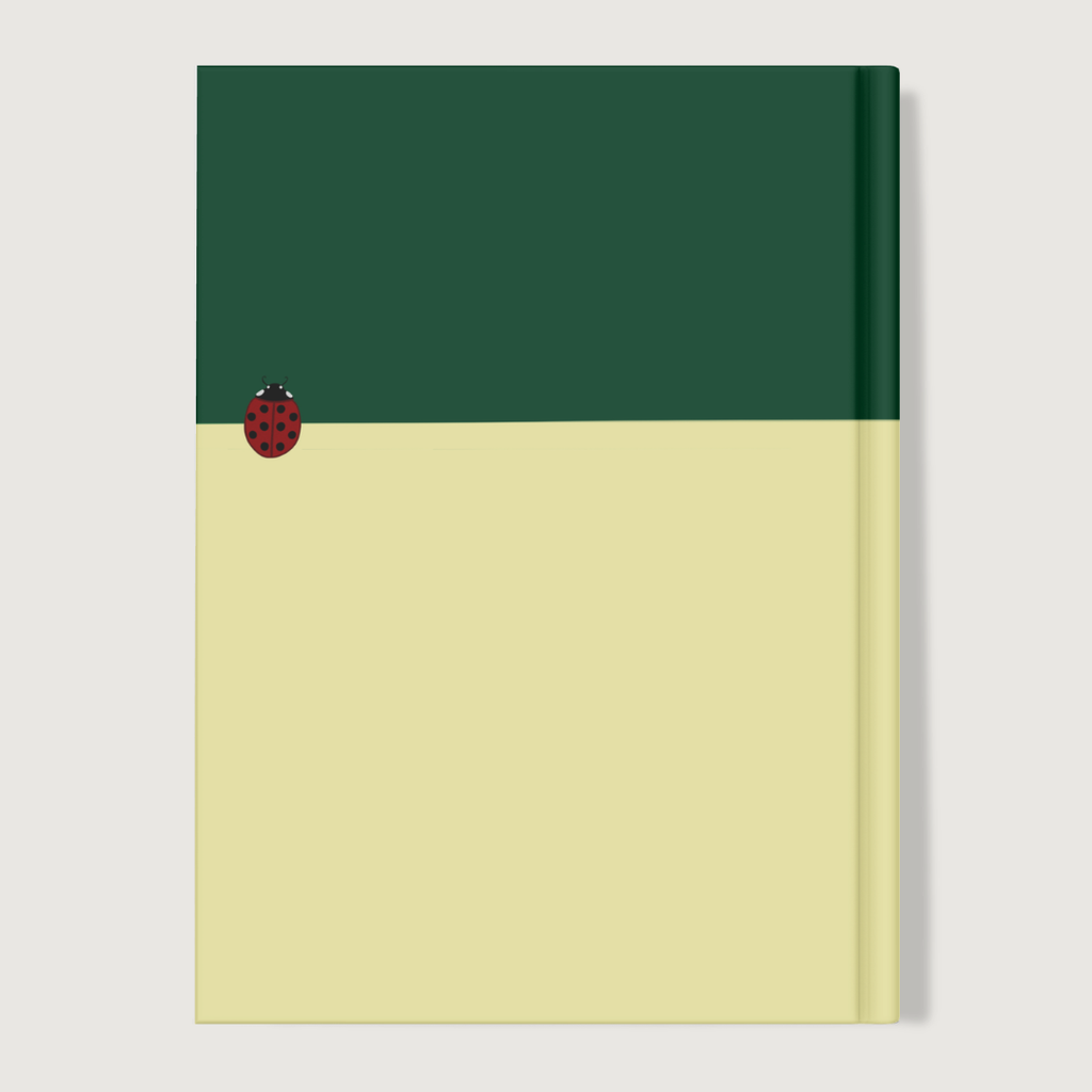 Little Ladybug