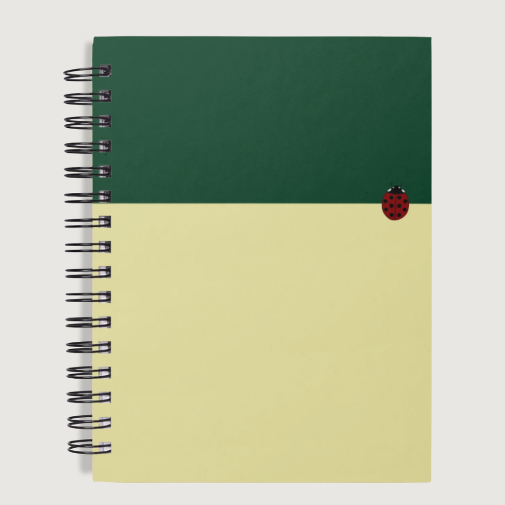 Little Ladybug