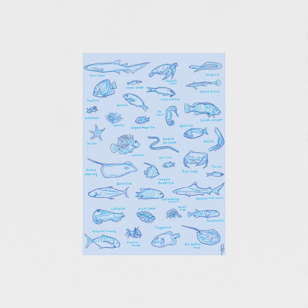Ocean Life Art Print